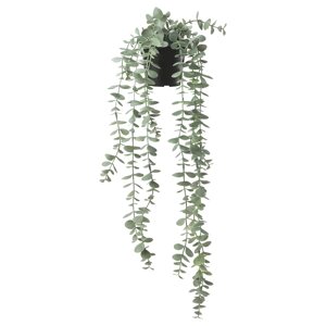 FEJKA Штучна рослина в горщику, кімнатна/вулична підвісна/евкаліпт, 9 см