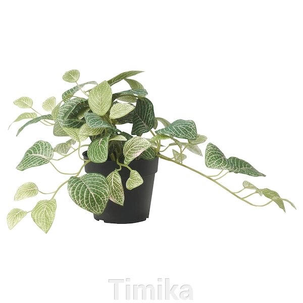 FEJKA Штучна рослина в горщику, кімнатна/вулична мозаїка/підвісна, 9 см від компанії Timika - фото 1