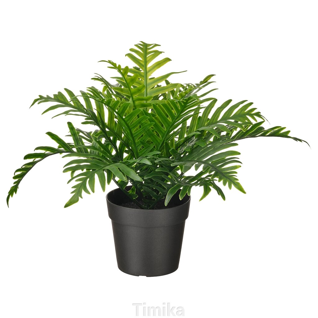 FEJKA Штучна рослина в горщику, кімнатна/вулична Папороть, 9 см від компанії Timika - фото 1