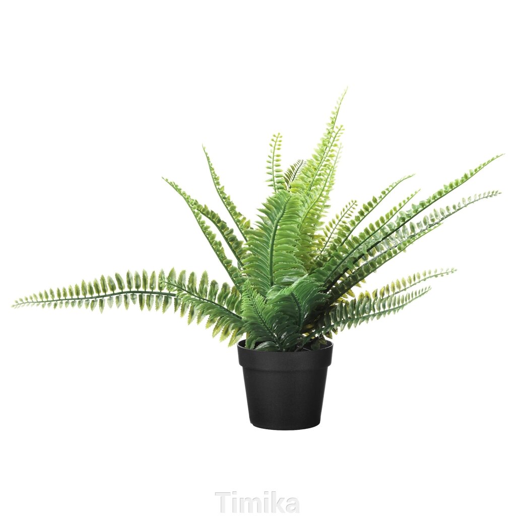 FEJKA Штучна рослина в горщику, кімнатна/вулична папороть, 9 см від компанії Timika - фото 1