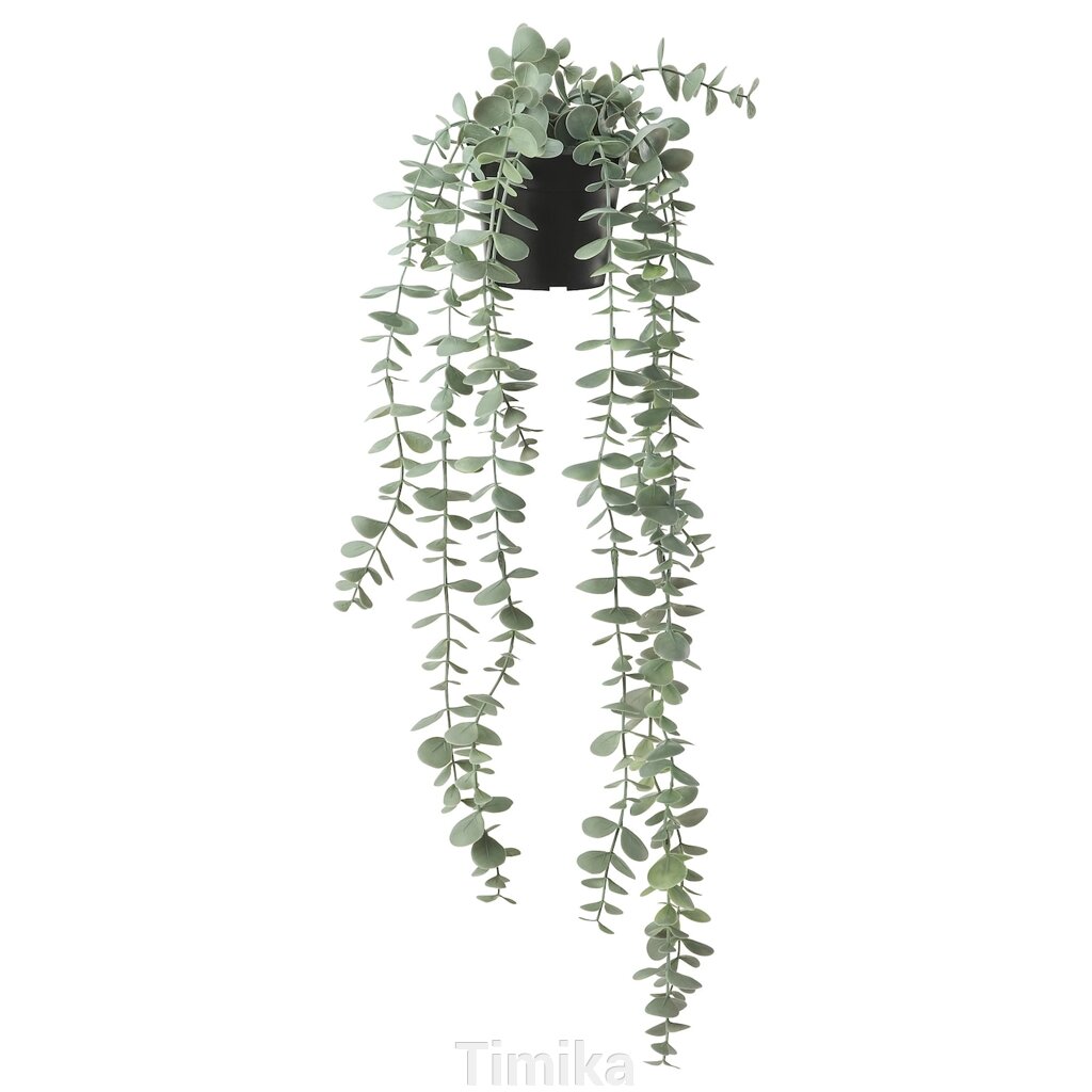 FEJKA Штучна рослина в горщику, кімнатна/вулична підвісна/евкаліпт, 9 см від компанії Timika - фото 1