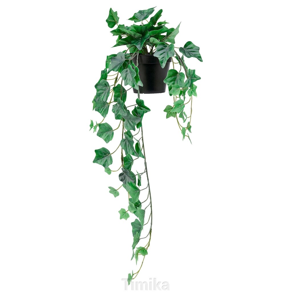 FEJKA Штучна рослина в горщику, кімнатна/вулична/підвісний Плющ, 12 см від компанії Timika - фото 1
