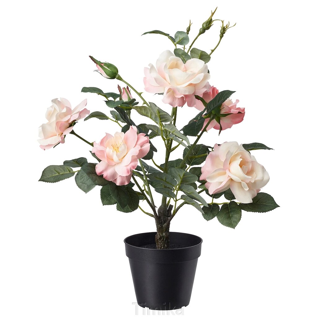 FEJKA Штучна рослина в горщику, кімнатна/вулична/Рожева троянда, 12 см від компанії Timika - фото 1