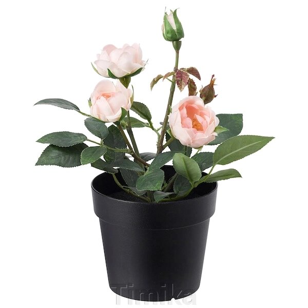 FEJKA Штучна рослина в горщику, кімнатна/вулична/Рожева троянда, 9 см від компанії Timika - фото 1