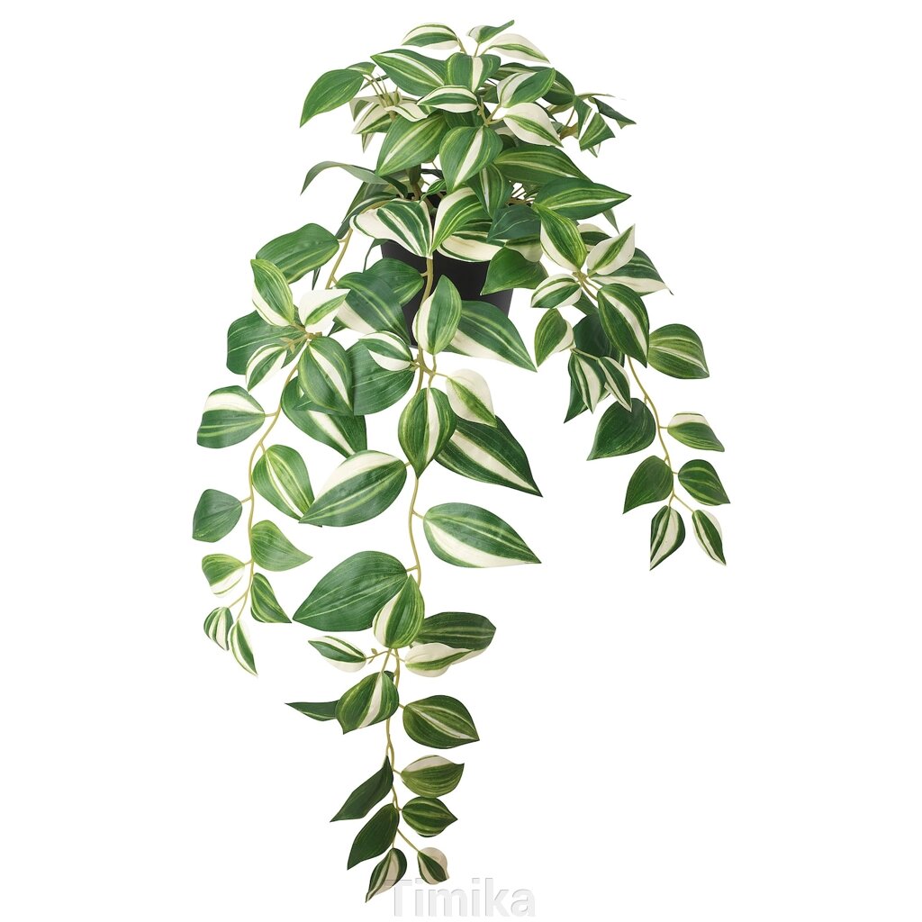 FEJKA Штучна рослина в горщику, кімнатна/вулична/смугаста, 12 см від компанії Timika - фото 1