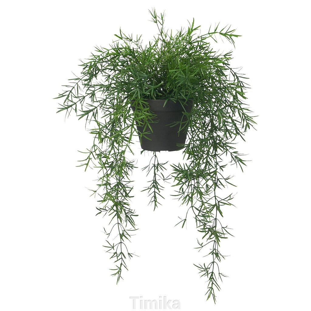 FEJKA Штучна рослина в горщику, кімнатна/вулична спаржа/підвісна, 12 см від компанії Timika - фото 1
