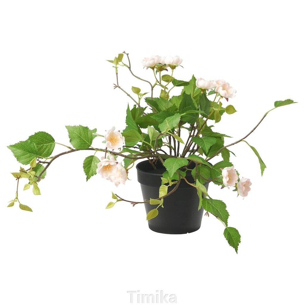 FEJKA Штучна рослина в горщику, кімнатна/вулична/Троянда світло-рожева, 12 см від компанії Timika - фото 1