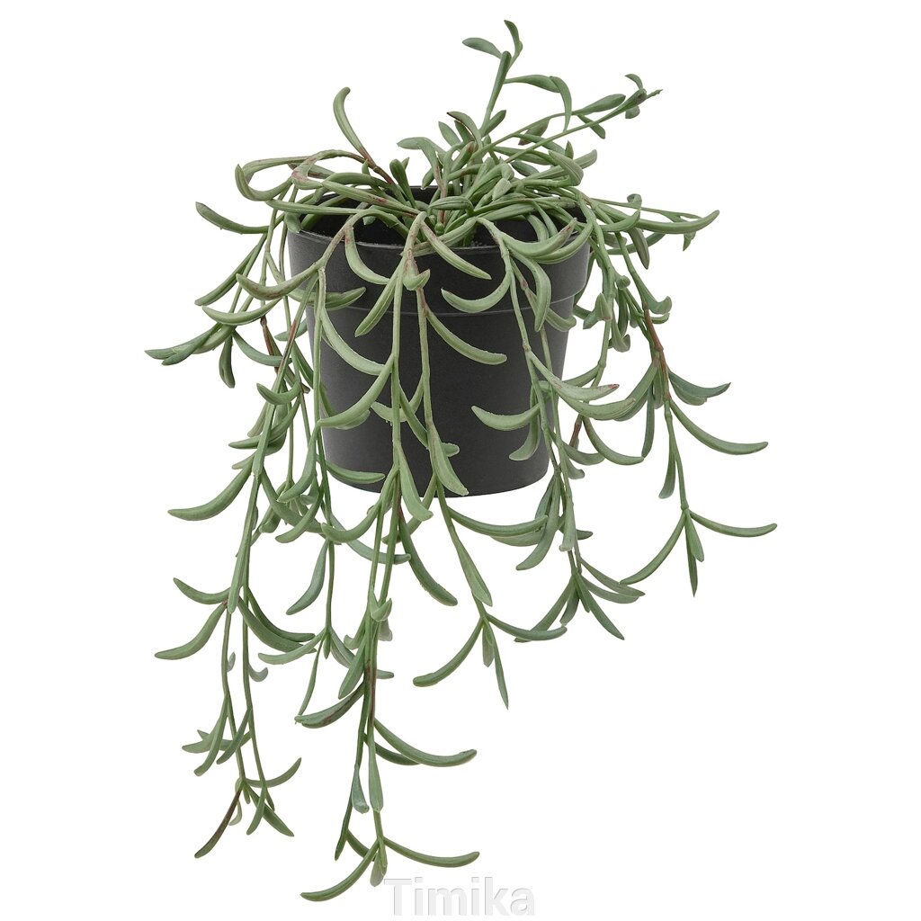FEJKA Штучна рослина в горщику, кімнатна/зовнішня/Rowley's Old Man hanging, 9 см від компанії Timika - фото 1