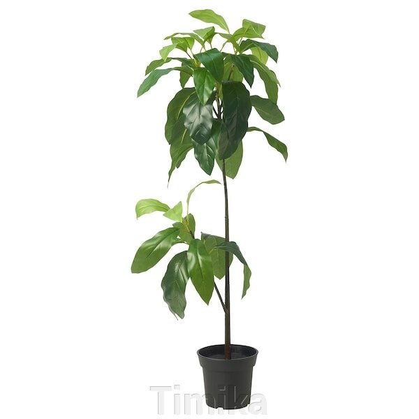 FEJKA Штучна рослина в горщику, кімнатний/вуличний авокадо, 15 см від компанії Timika - фото 1