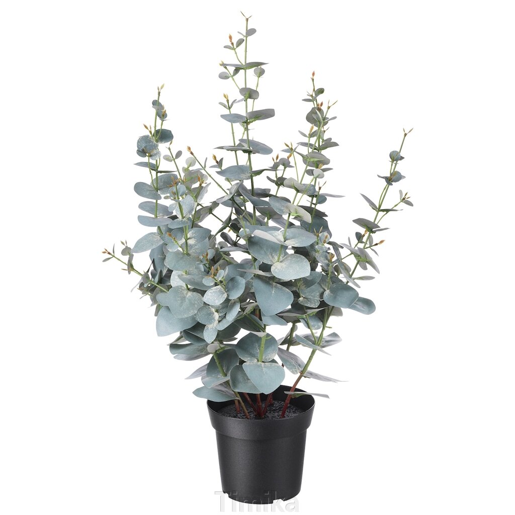 FEJKA Штучна рослина в горщику, кімнатний/вуличний евкаліпт, 15 см від компанії Timika - фото 1