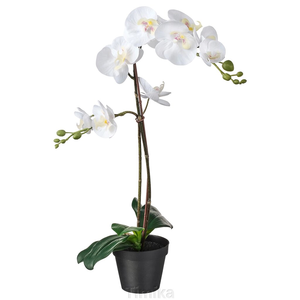 FEJKA Штучна рослина в горщику Орхідея біла 12 см від компанії Timika - фото 1