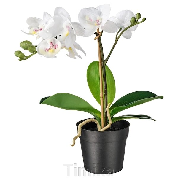 FEJKA Штучна рослина в горщику Орхідея біла 9 см від компанії Timika - фото 1