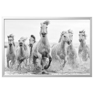 BJÖRKSTA Картина в рамі, коні біля води/срібло, 118х78 см