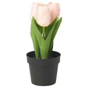 FEJKA Штучна рослина в горщику, кімнатна/вулична/Тюльпан рожевий, 9 см