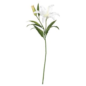 SMYCKA Штучна квітка, лілія/біла, 85 см