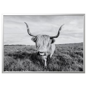 BJÖRKSTA Картина в рамці, цікава корова/срібло, 140x100 см