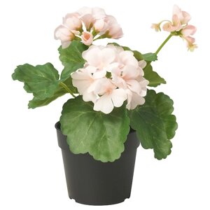 FEJKA Штучна рослина в горщику, кімнатна/вулична/Герань світло-рожева, 9 см