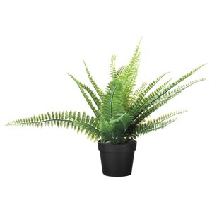 FEJKA Штучна рослина в горщику, кімнатна/вулична папороть, 9 см