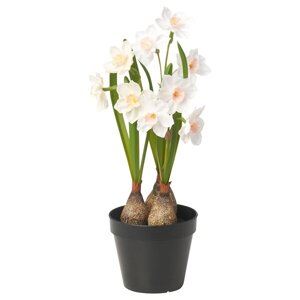 FEJKA Штучна рослина в горщику, нарцис кімнатний/вуличний/білий, 12 см