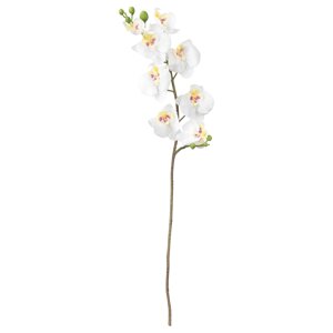 SMYCKA Штучна квітка Орхідея/білий 60см