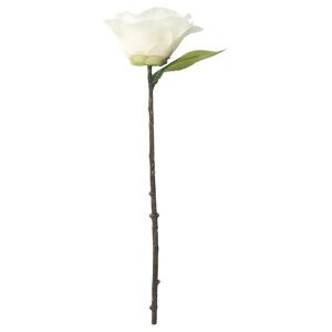 SMYCKA Штучна квітка, кімнатна/вулична/Камелія біла, 28 см