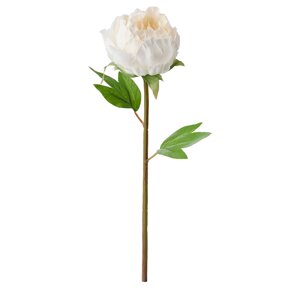 SMYCKA Штучна квітка, Півонія/білий, 30см