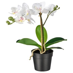 FEJKA Штучна рослина в горщику Орхідея біла 9 см