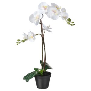 FEJKA Штучна рослина в горщику Орхідея біла 12 см
