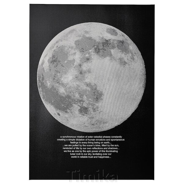 PJÄTTERYD Картина, місячне світло, 50х70 см від компанії Timika - фото 1