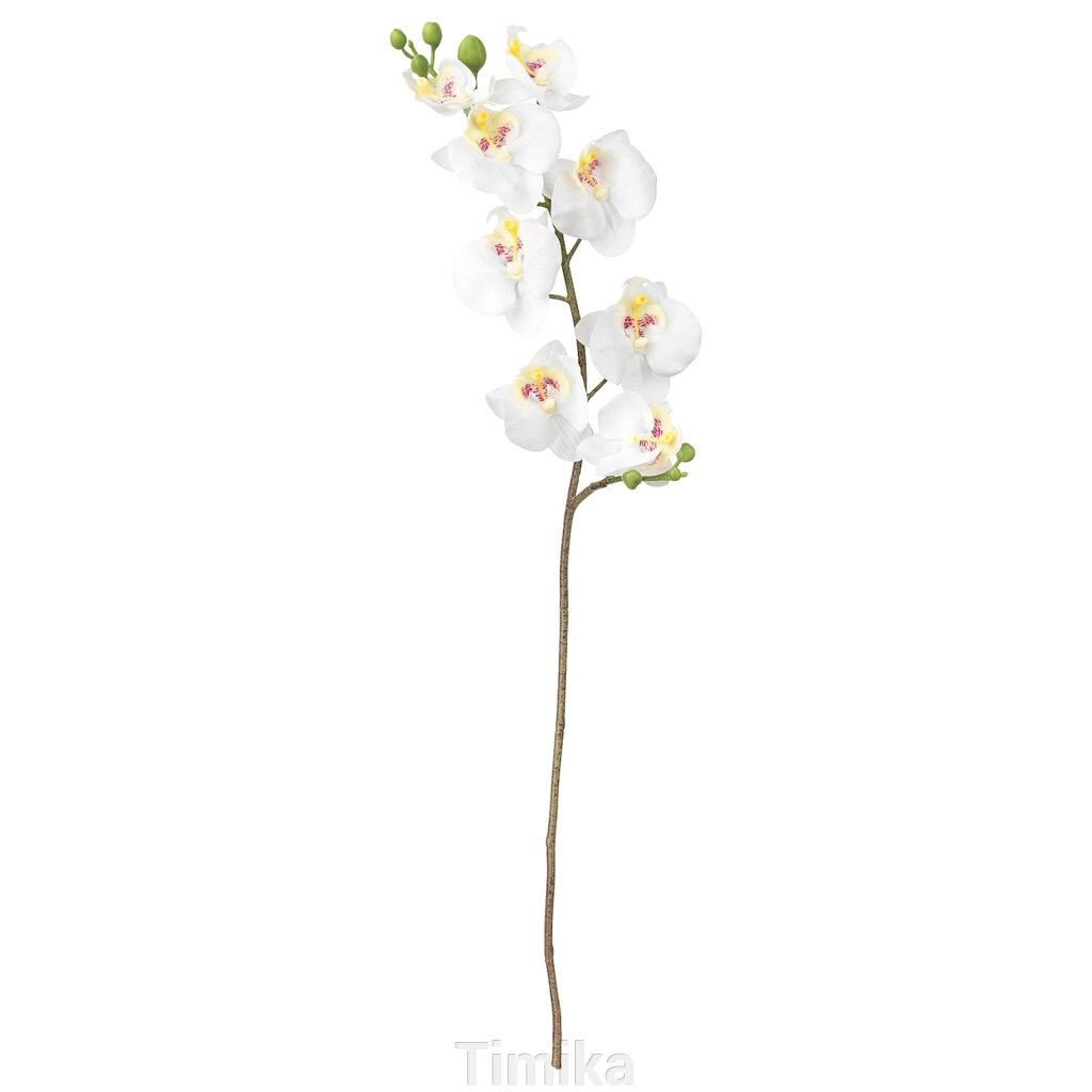 SMYCKA Штучна квітка Орхідея/білий 60см від компанії Timika - фото 1