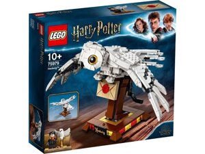 Конструктор LEGO Harry Potter Букля (75979)