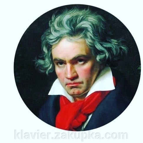 Магніт-Бетховен від компанії Нотний магазин "Клавир" - фото 1
