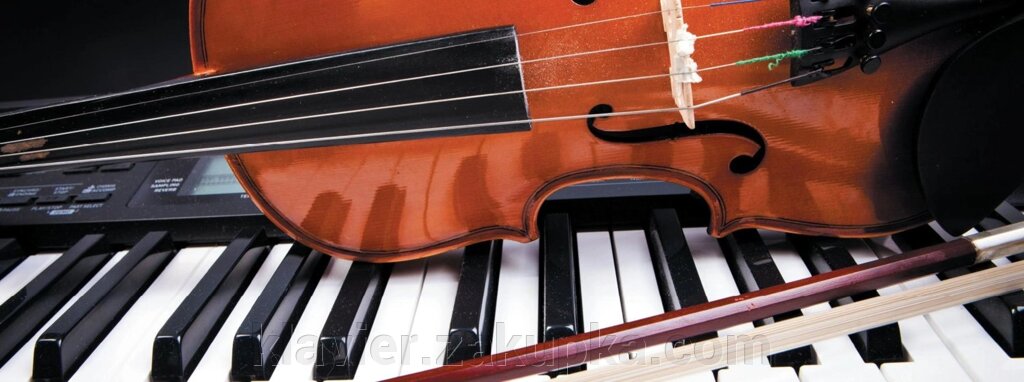 Планер-скрипка від компанії Нотний магазин "Клавир" - фото 1