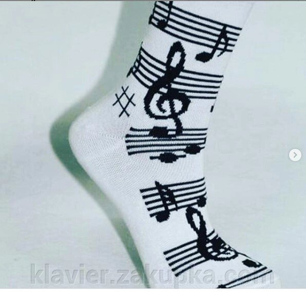 Шкарпетки з нотами (ноти на білому) від компанії Нотний магазин "Клавир" - фото 1