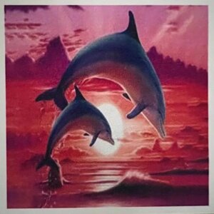 Алмазна мозаїка 15х20 см 5D Dolphins