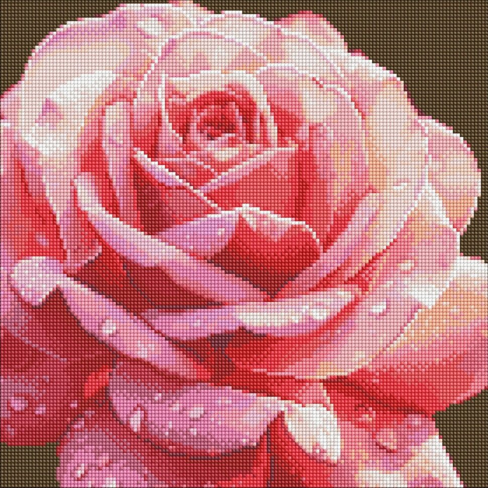 Алмазна мозаїка без підрамника "Довершена троянда" AMC7854 40х40см від компанії Polmart - фото 1