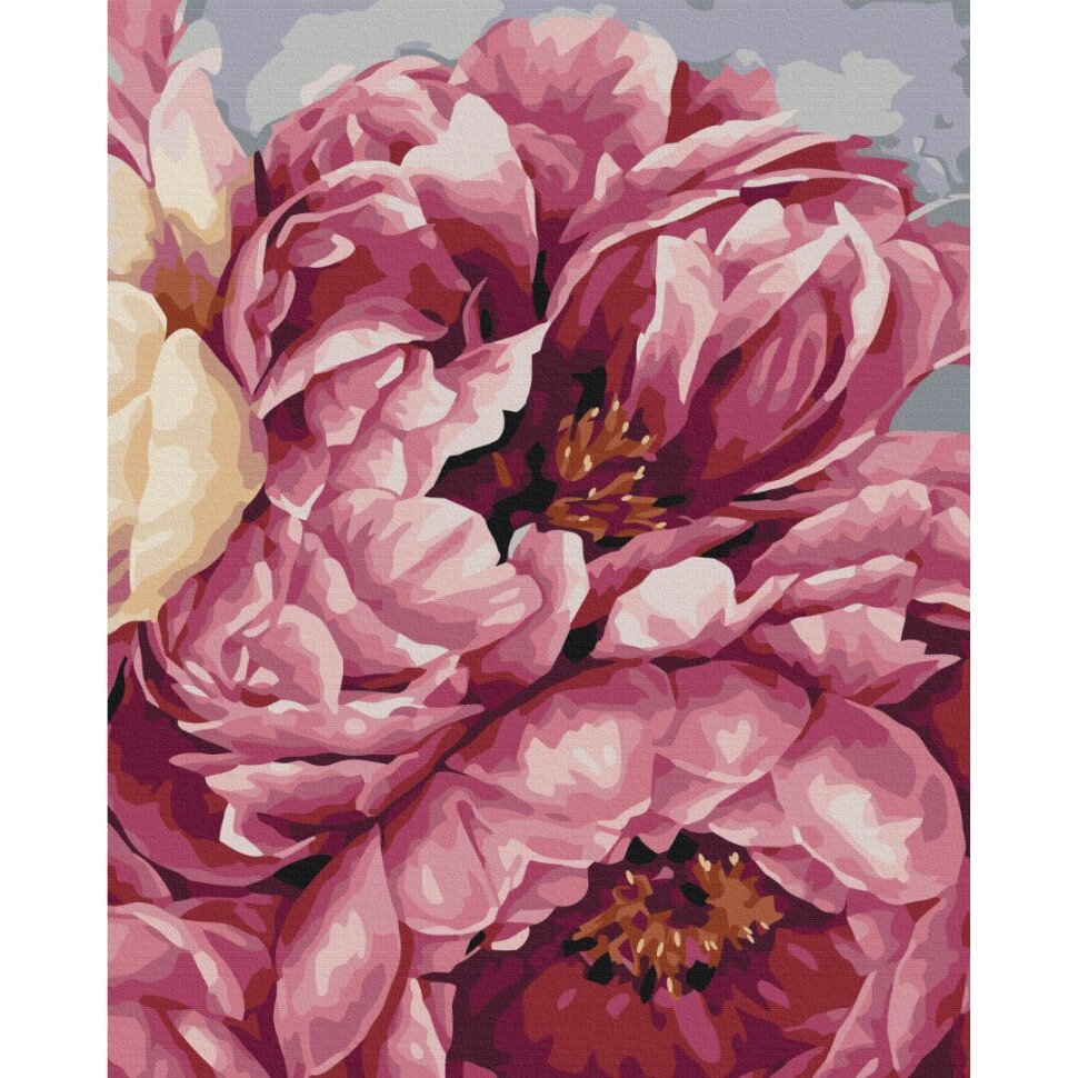 Картина за номерами "Цвітіння півонії" Brushme BS40543 40x50 см від компанії Polmart - фото 1