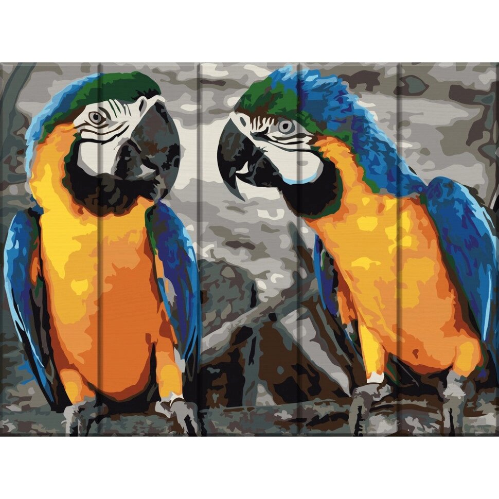 Картина за номерами по дереву "Два папуги" ASW057 30х40 см від компанії Polmart - фото 1