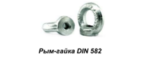 Гайка с кольцом(Pым-гайка)DIN 582
