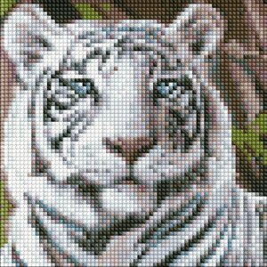Алмазна мозаїка без підрамника "Бенгальскій тигр" AMC7681 20х20 см