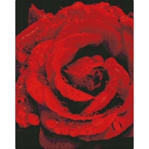 Алмазна мозаїка "Троянда в діамантах" AMO7501 40х50см