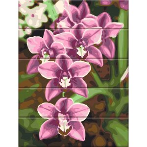 Картина за номерами по дереву "Рожеві орхідеї" ASW227 30х40 см
