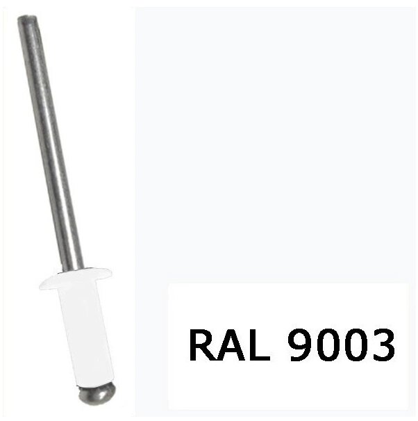 Заклепка 4,0x10 пофарбована RAL 9003 упк 1000 шт від компанії Polmart - фото 1