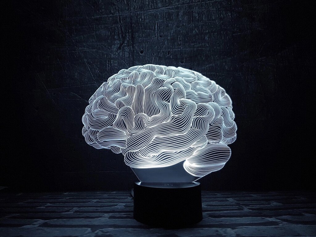 Змінна пластина для 3D світильників "Мозок" 3DTOYSLAMP від компанії Polmart - фото 1