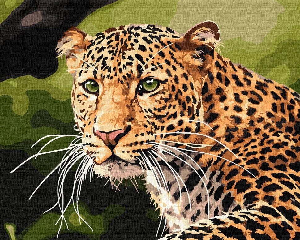 Зображення на цифрах "Зелений -е -леопард" ідеальний KHO4322 40x50 см від компанії Polmart - фото 1