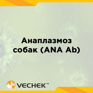 Експрес-тест для швидкого тесту на антитіла до анаплазми собак (ANA Ab), VIANA-402