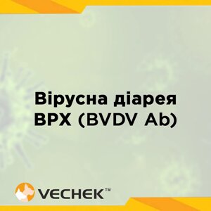 Експрес-тести на вірусну діарею великої рогатої худоби (BVDV Ab), VIBVD‐302