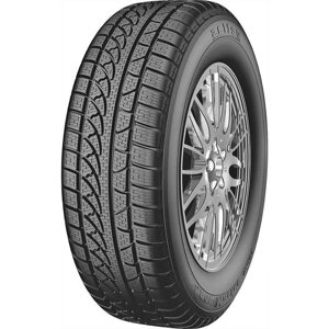 Шина 245/45 R18 Petlas SnowMaster W651 100V XL