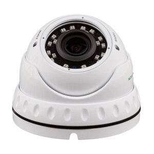 Антивандальна IP-камера Green Vision GV060IPE30