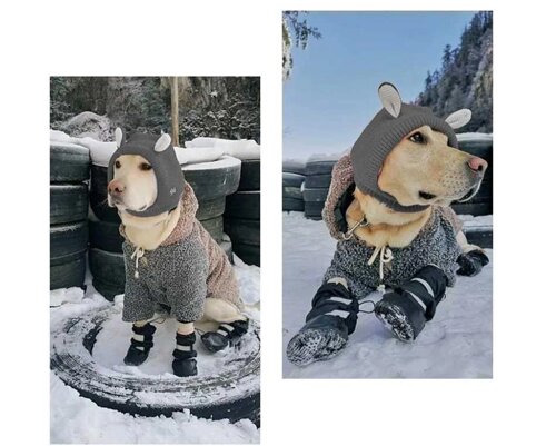 Ботинки для собак Hipaw зимняя обувь для собак для снега и дождя  (1493014005) купить в Киеве за 1810.89 грн